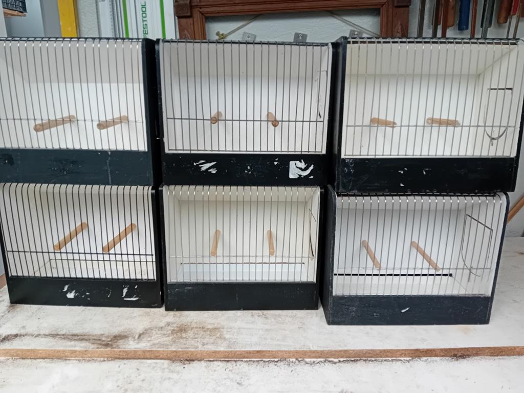 TT kooien voor parkieten, Enlèvement