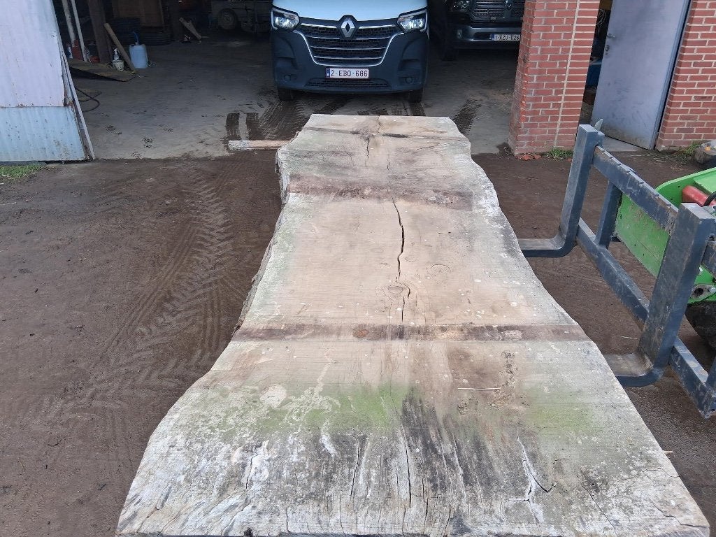 Boomstambladen, Ophalen, Nieuw, 200 tot 250 cm, Plank