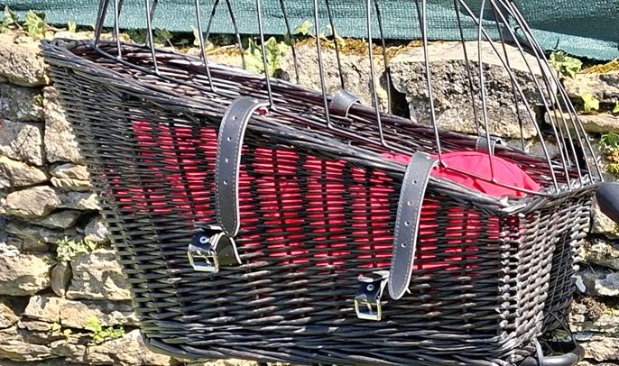 Panier pour vélo pour chien, Vélos & Vélomoteurs, Enlèvement