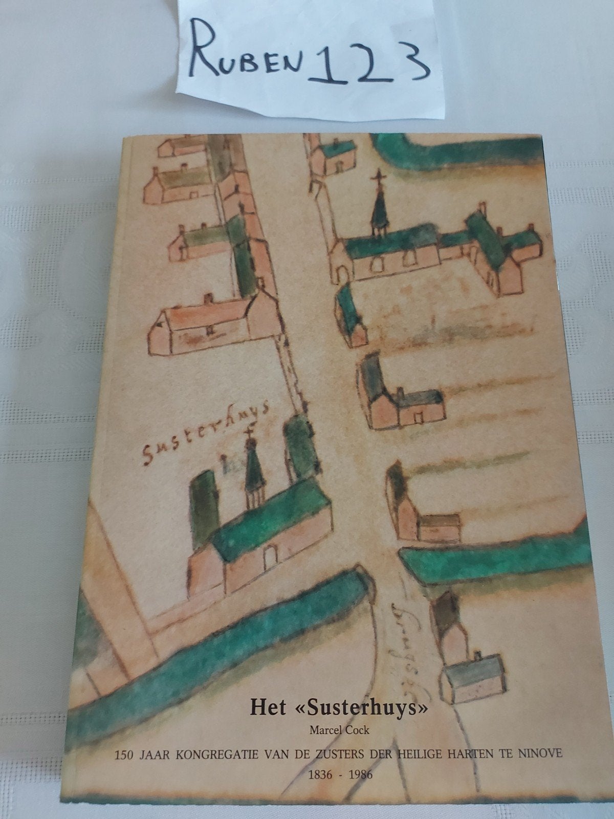 Het Susterhuys Ninove, Ophalen of Verzenden