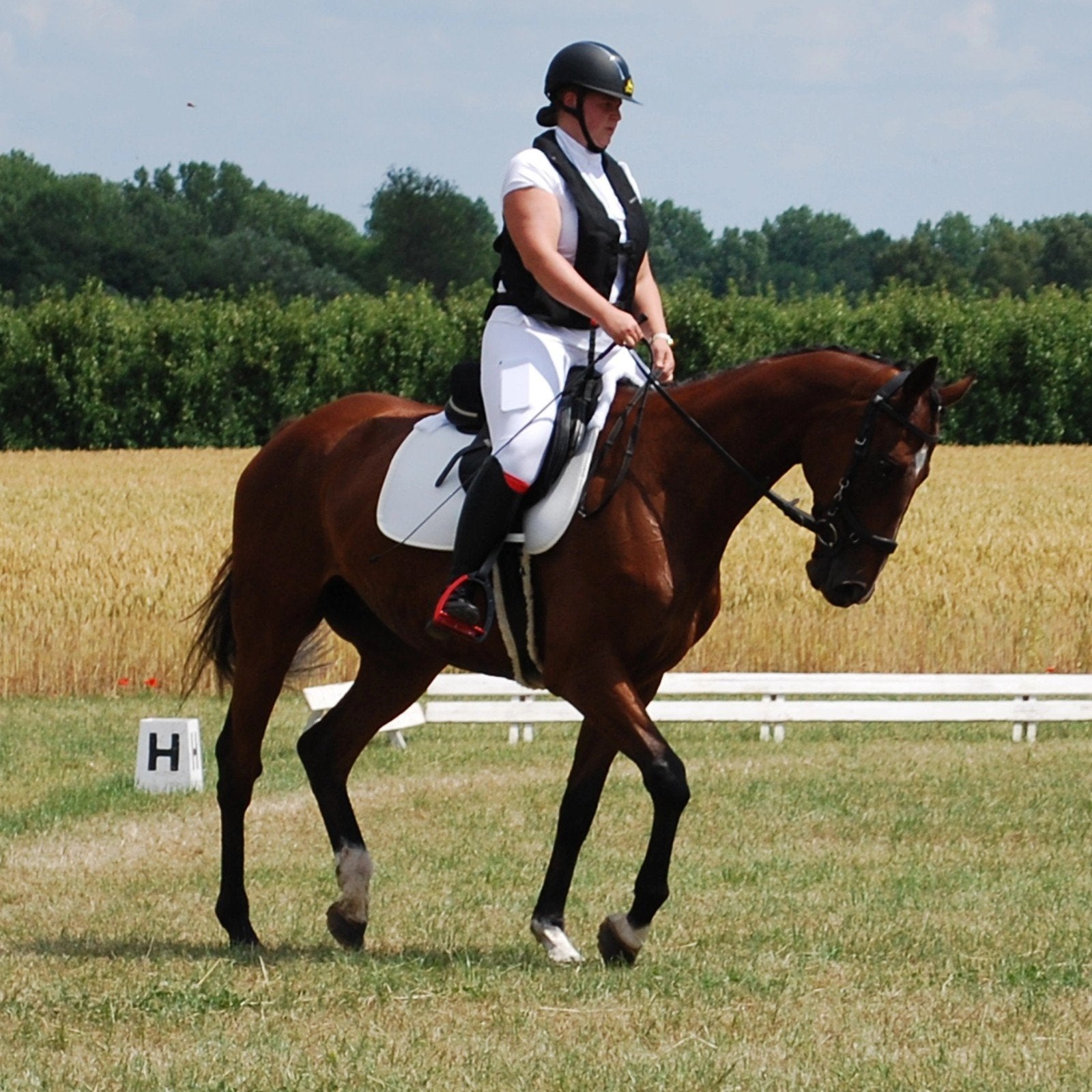 Lief recreatiepaard te koop, Dieren en Toebehoren, Paarden, Gechipt, B, Ruin, 7 tot 10 jaar