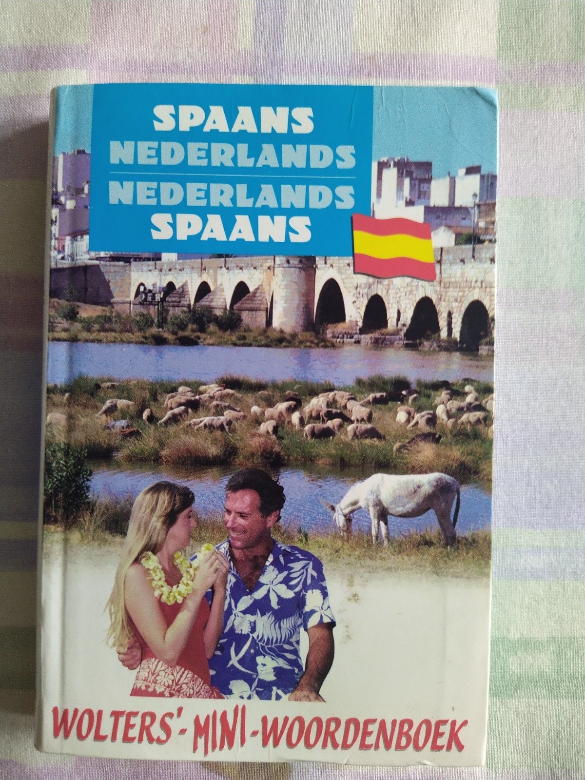 Spaans-Nederlands ; Nederlands-Spaans, Boeken, Ophalen, Zo goed als nieuw, Nederlands