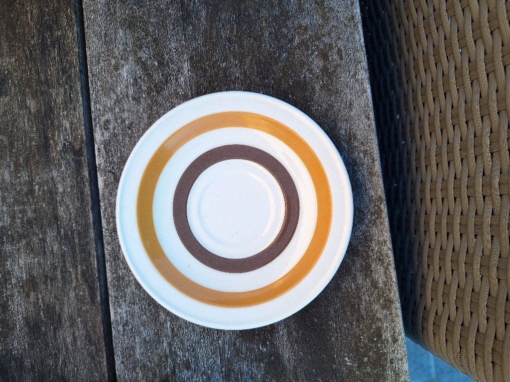 Carraigaline pottery, Enlèvement