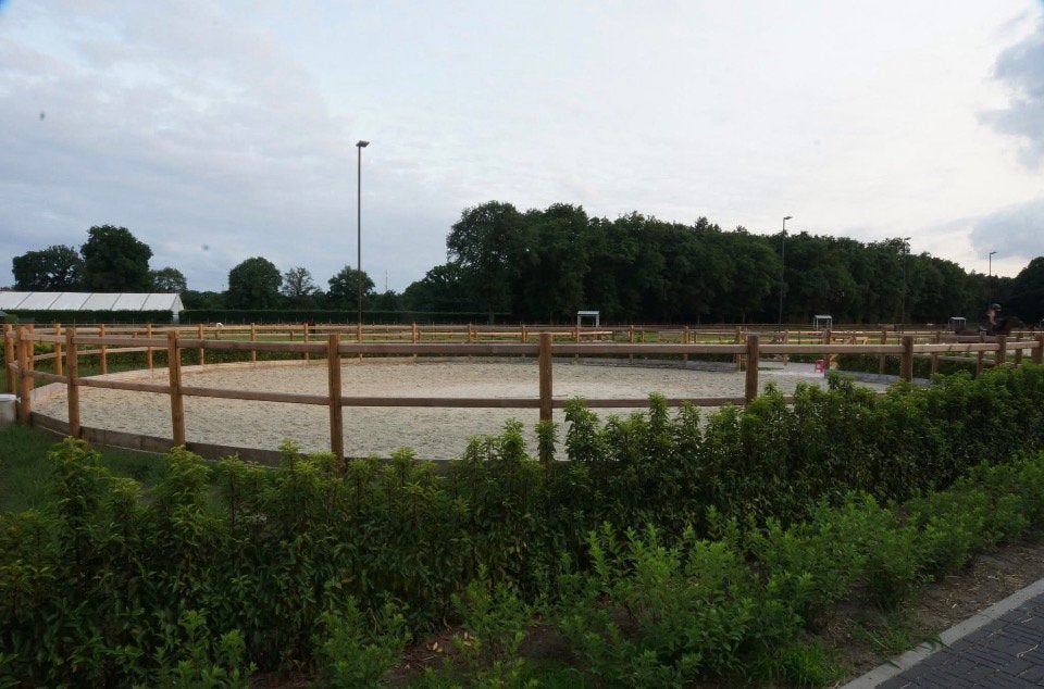 Pension stalling, Stalling, 2 of 3 paarden of pony's