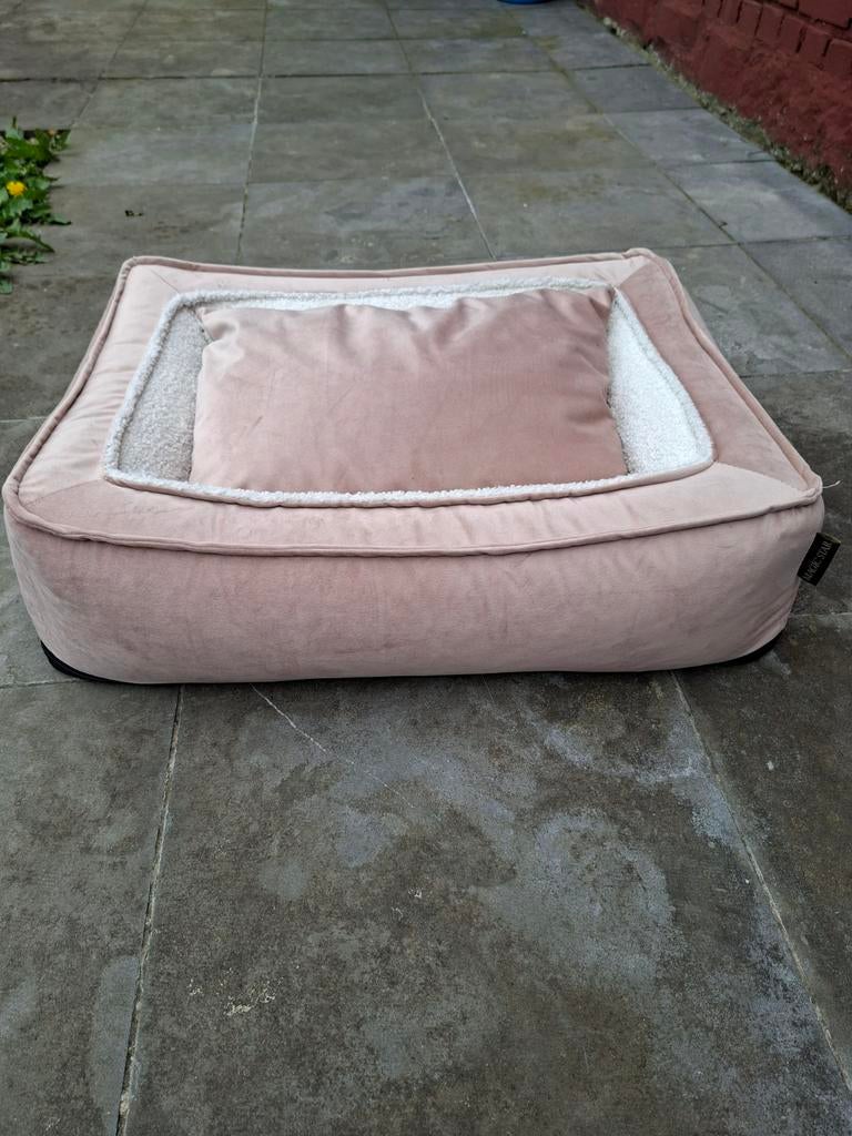 Coussin pour chien 60x50 cm non utilisé, Enlèvement