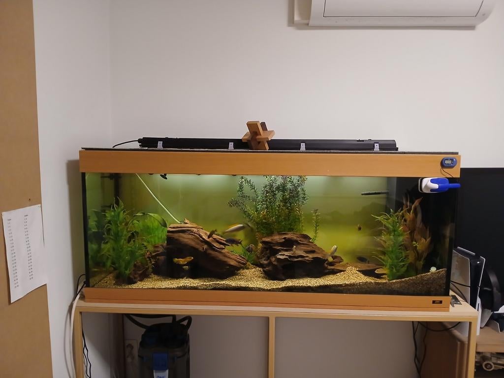Aquarium juwel, Dieren en Toebehoren, Ophalen, Gebruikt, Inclusief vissen, Gevuld zoetwateraquarium