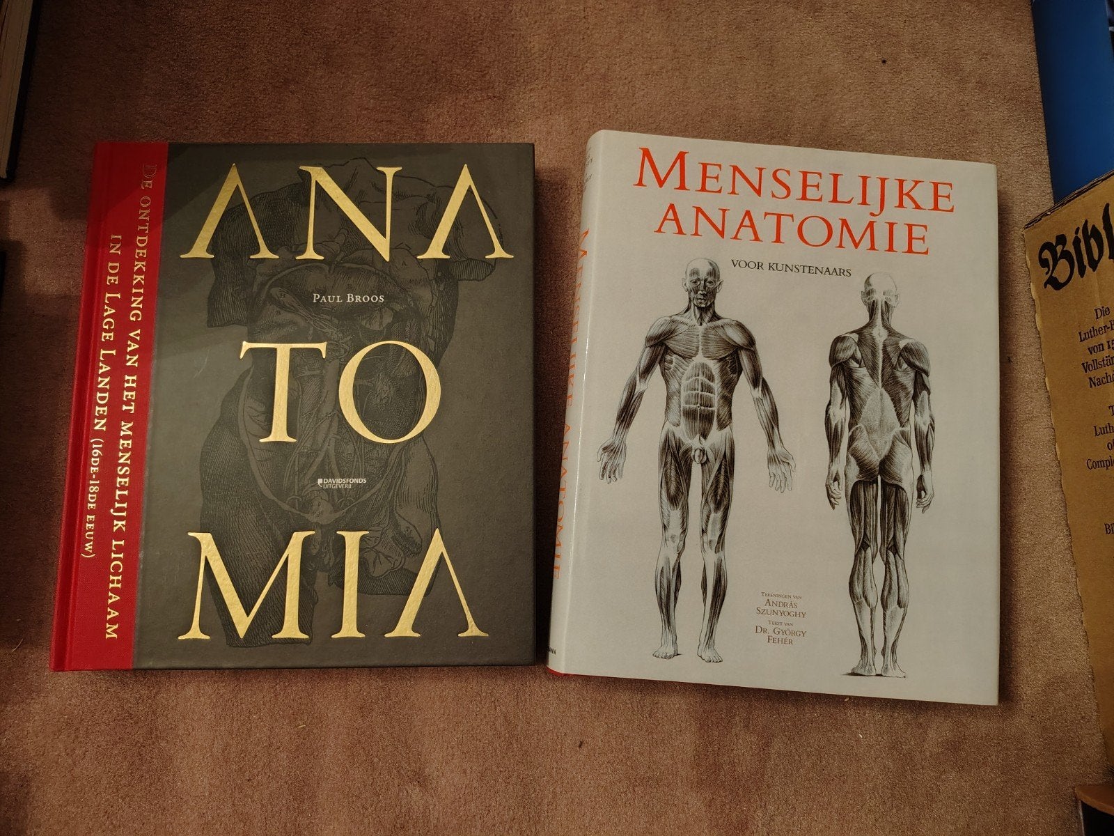 Anatomia , menselijke anatomie voor kunstenaars, Boeken, Ophalen of Verzenden