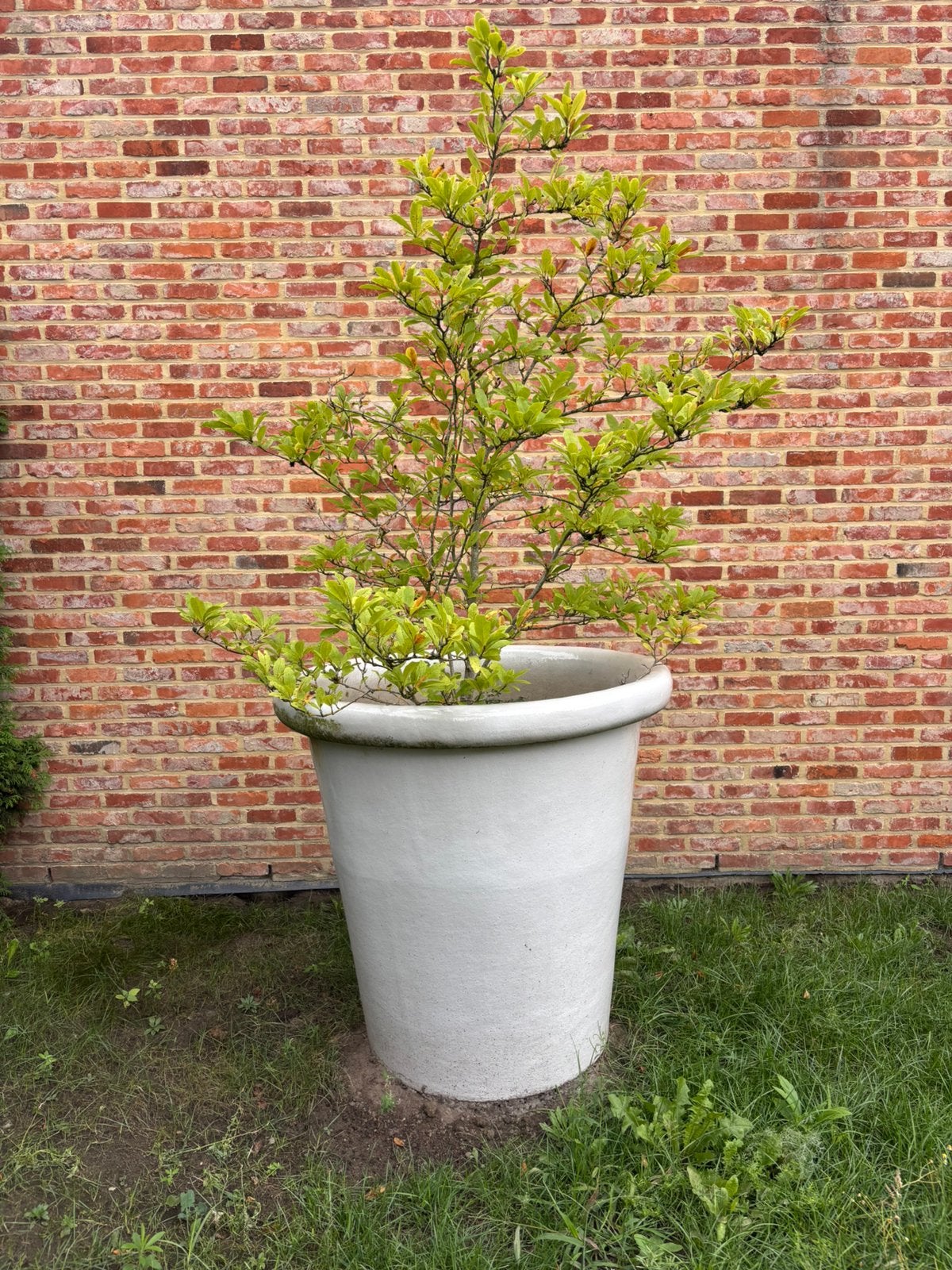 Boîtes à fleurs, Jardin & Terrasse, Enlèvement, Comme neuf, Rond, Jardin
