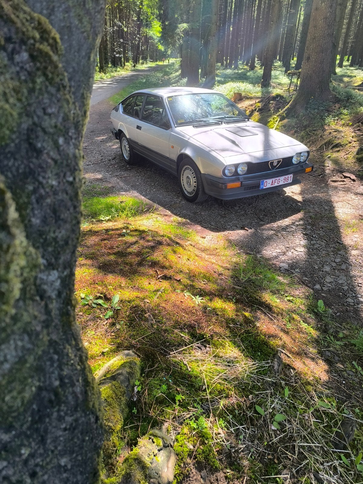 Alfa Romeo gtv6, Auto's, Alfa Romeo, 4 zetels, Zwart, 1210 kg, Dealer onderhouden