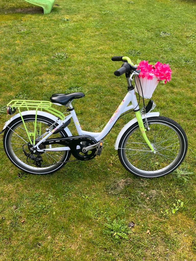 Kinderfiets, Ophalen, Gebruikt, Velgrem, 20 inch of meer