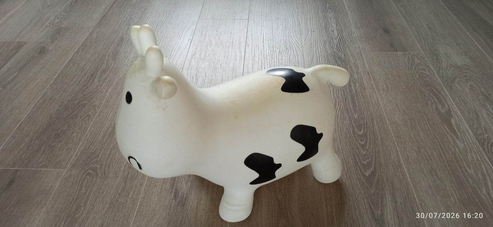 petite vache, Vache, Blanc, Utilisé, Lavable