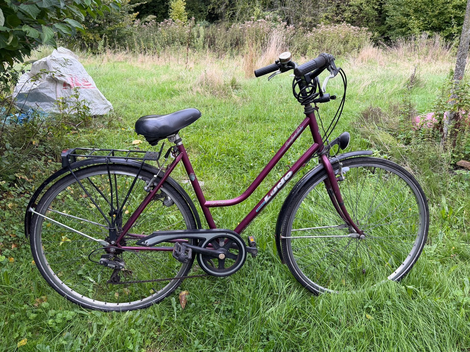Vélo Ludo Comfort GS pour femmes, Enlèvement