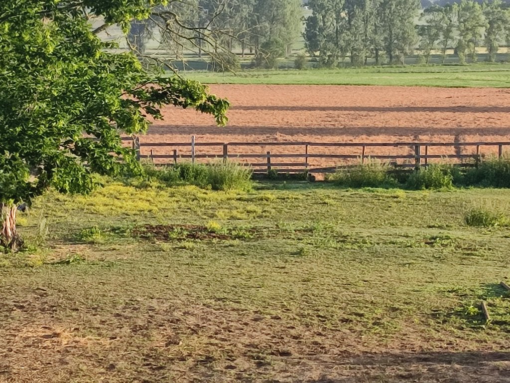 Gratis hout, Diversen, Levensmiddelen, Ophalen