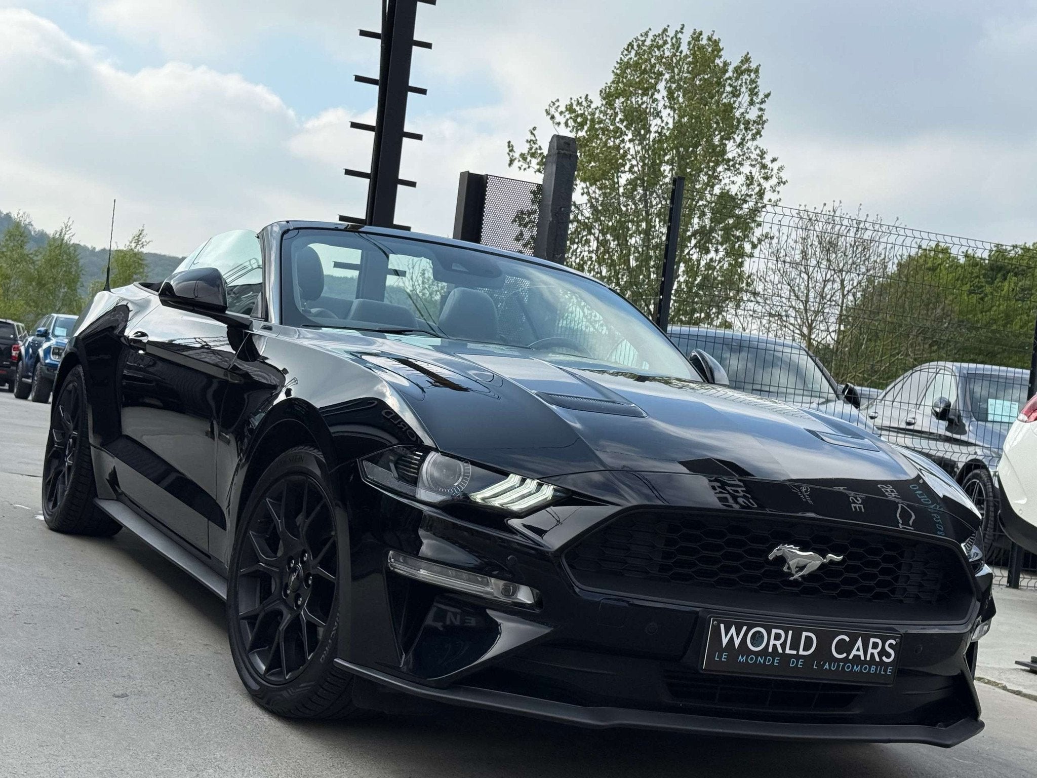 Ford Mustang 2.3 CABRIO - AUTOMATIQUE - COCKPIT - DISTRONIC, Autos, Cuir, Achat, 207 g/km, Euro 6