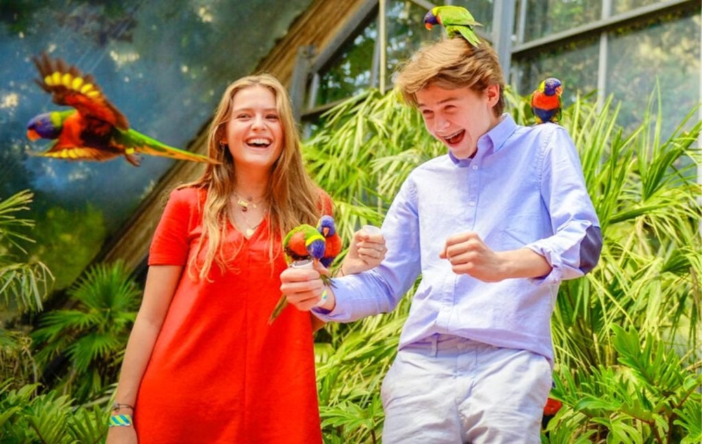 Billets Parc Avifauna 2026 + aire de jeux XXL - 1+1 GRATUIT, Tickets & Billets, Loisirs | Jardins zoologiques