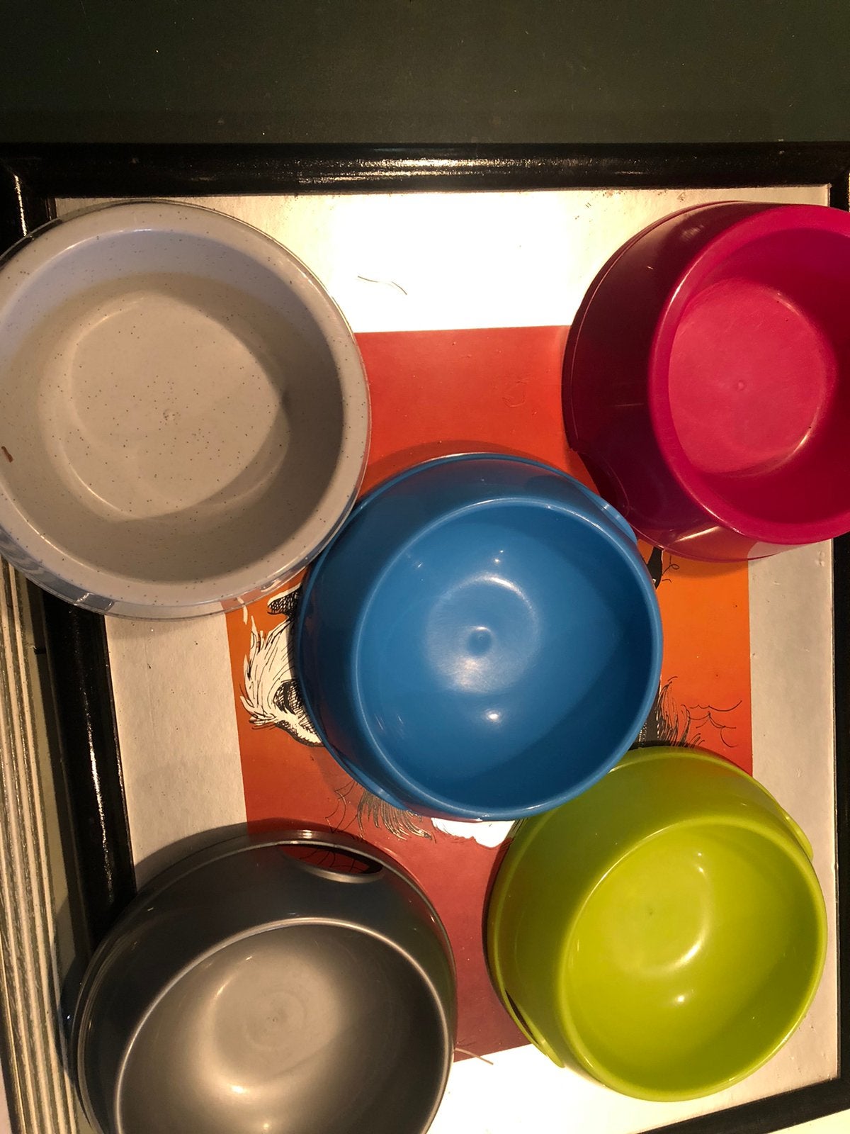 Vijf voederbakjes voor jat of hond samen 4euro, Animaux & Accessoires, Nourriture & Bols pour chiens, Enlèvement ou Envoi, Comme neuf