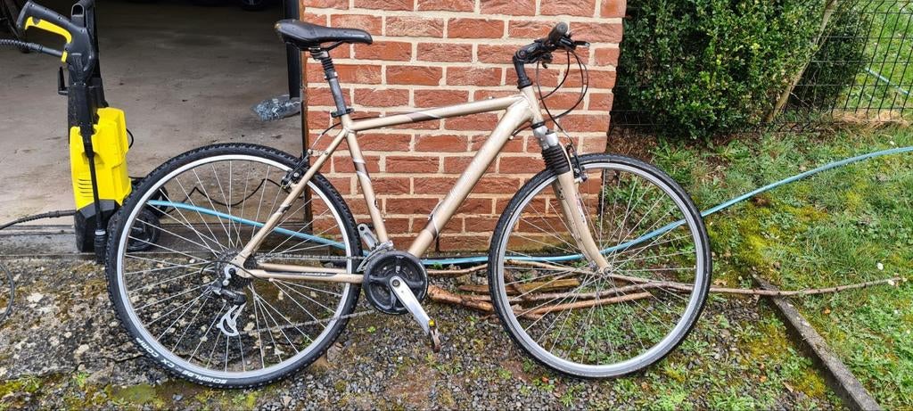Vélos adulte en bon état