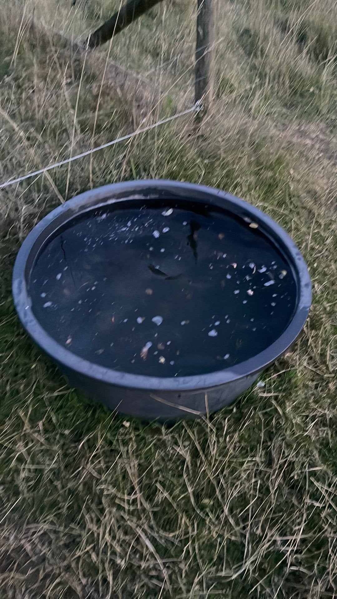 Grote drinkbak 150liter, Tuin en Terras, Ophalen, Kunststof, Gebruikt, Rond
