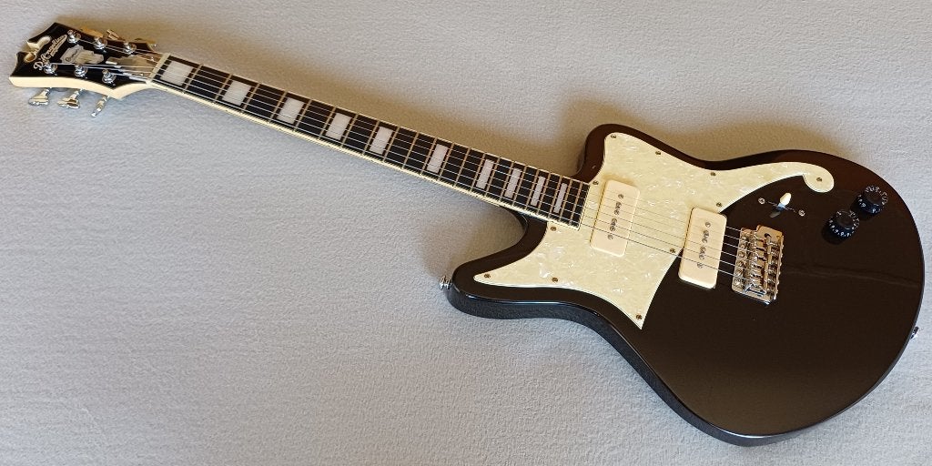 Neuve D'Angelico Bedford, Musique & Instruments, Enlèvement ou Envoi