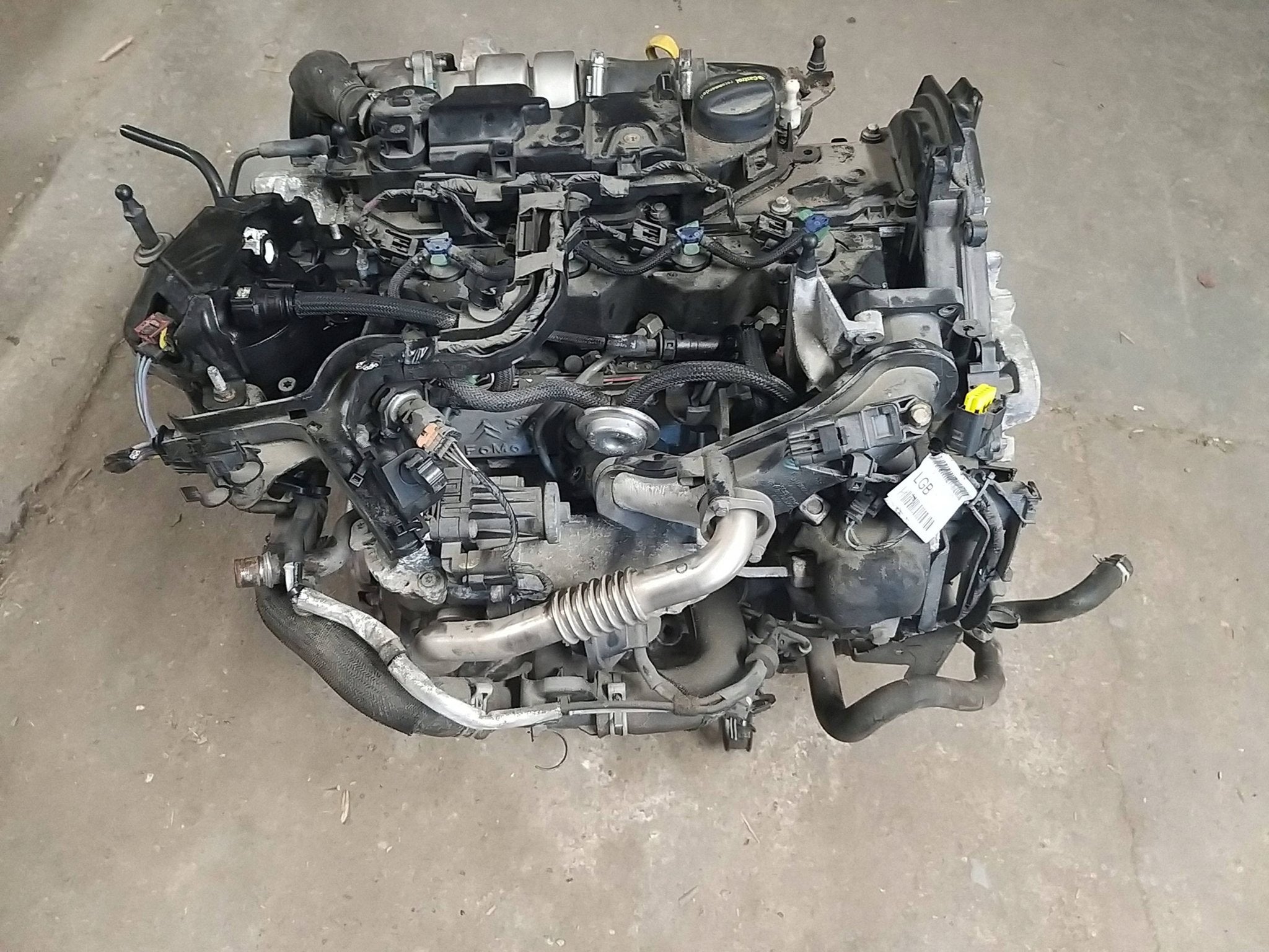 Moteur XVJC Complet FIESTA FORD