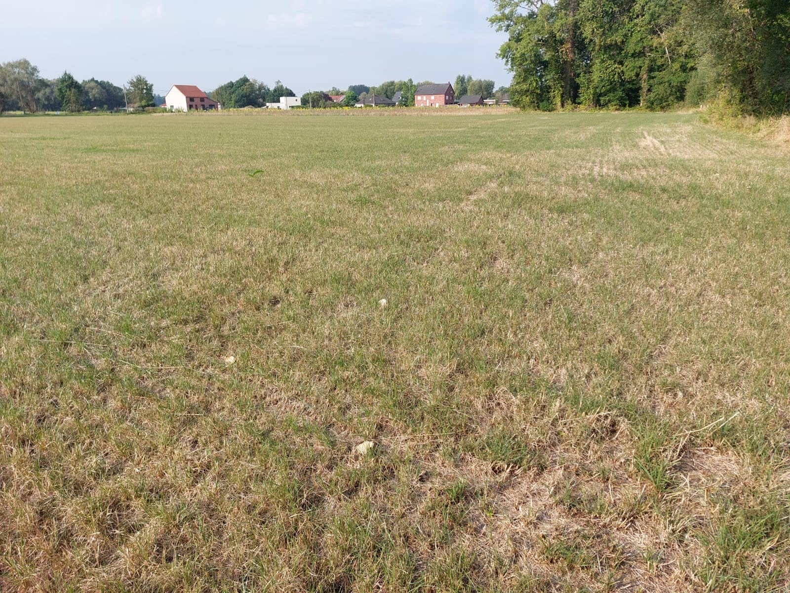 Landbouwgrond te koop in Leuven., Immo