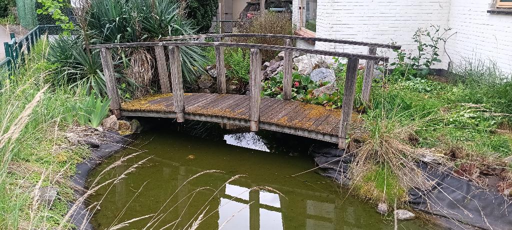 vijver brug, Tuin en Terras, Ophalen, Gebruikt