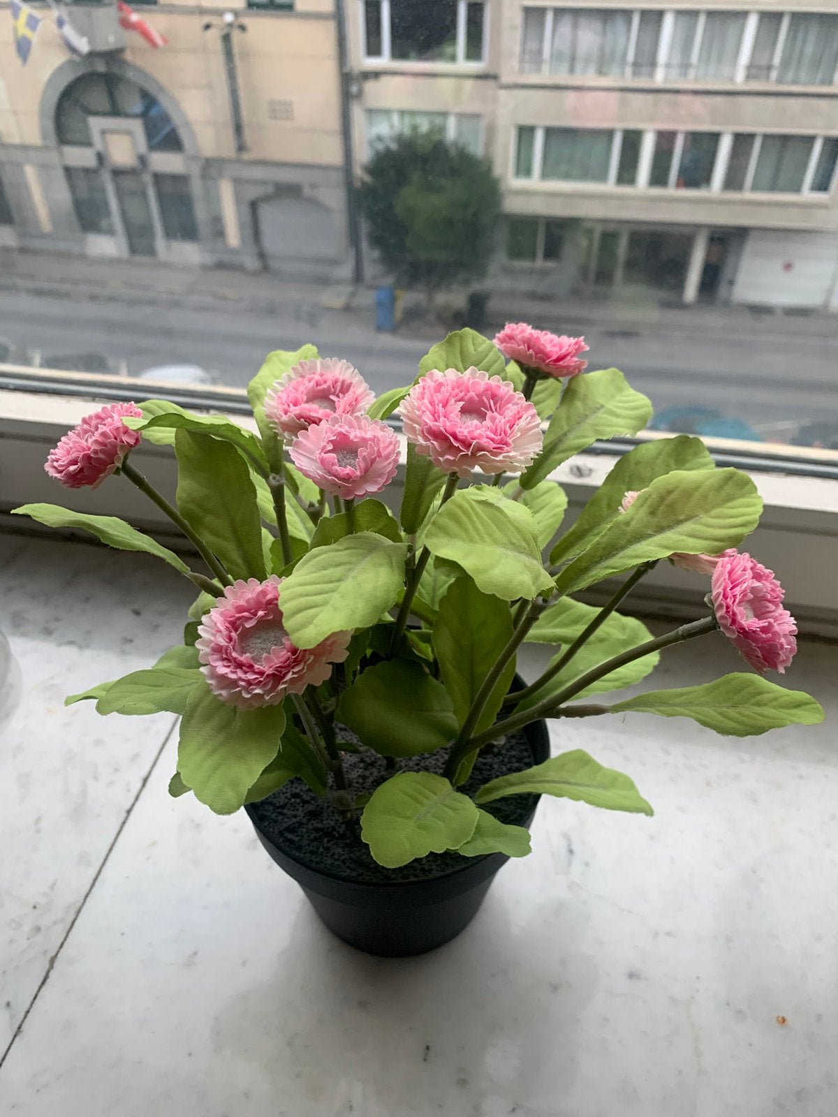 Fleurs, artificielles, Enlèvement