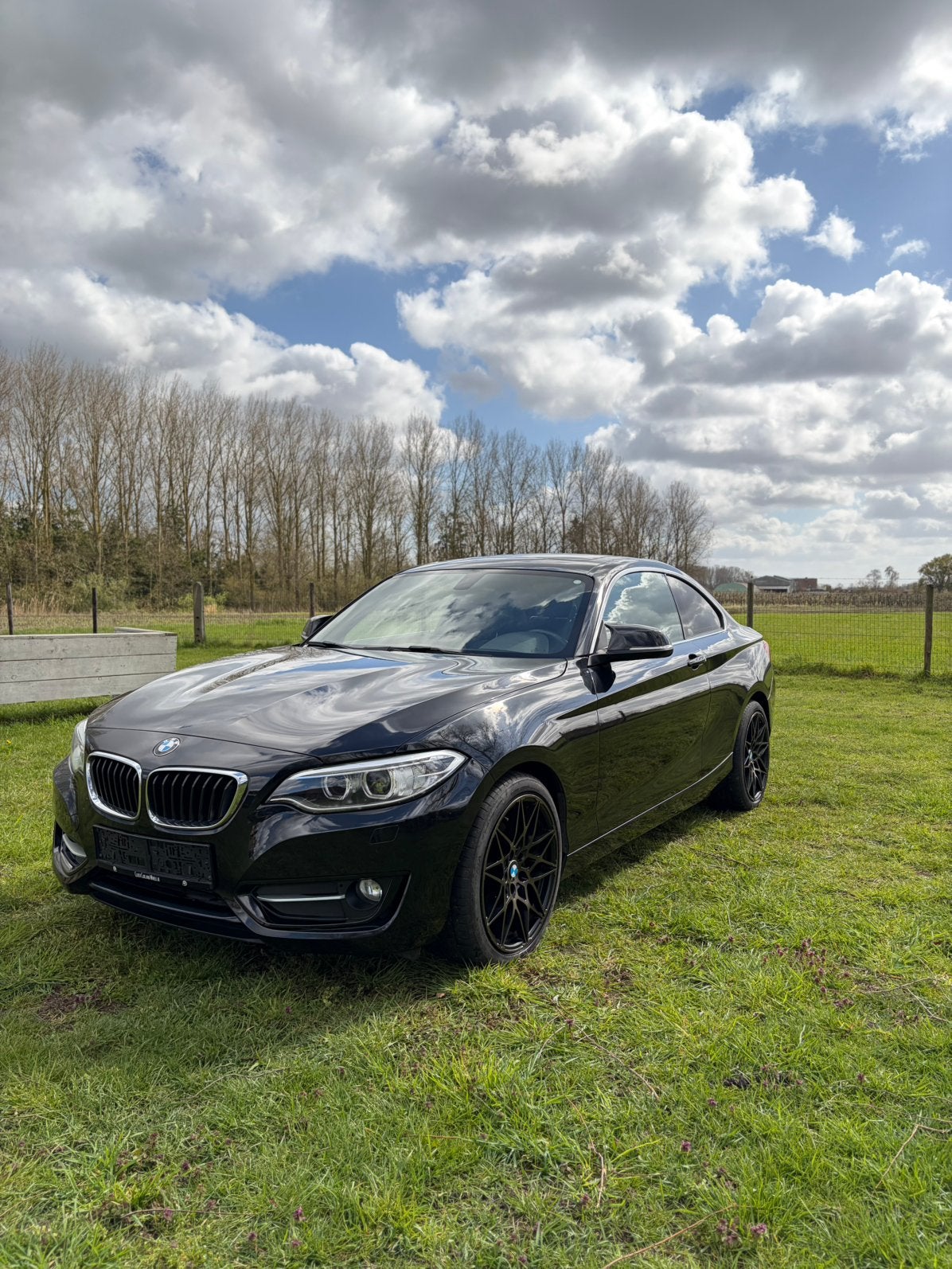 BMW 228i xDrive (2016) – 78.900 km, Auto's, BMW, Particulier, 2 Reeks Gran Coupé, 4x4, ABS, Airbags, Airconditioning, Alarm, Bluetooth