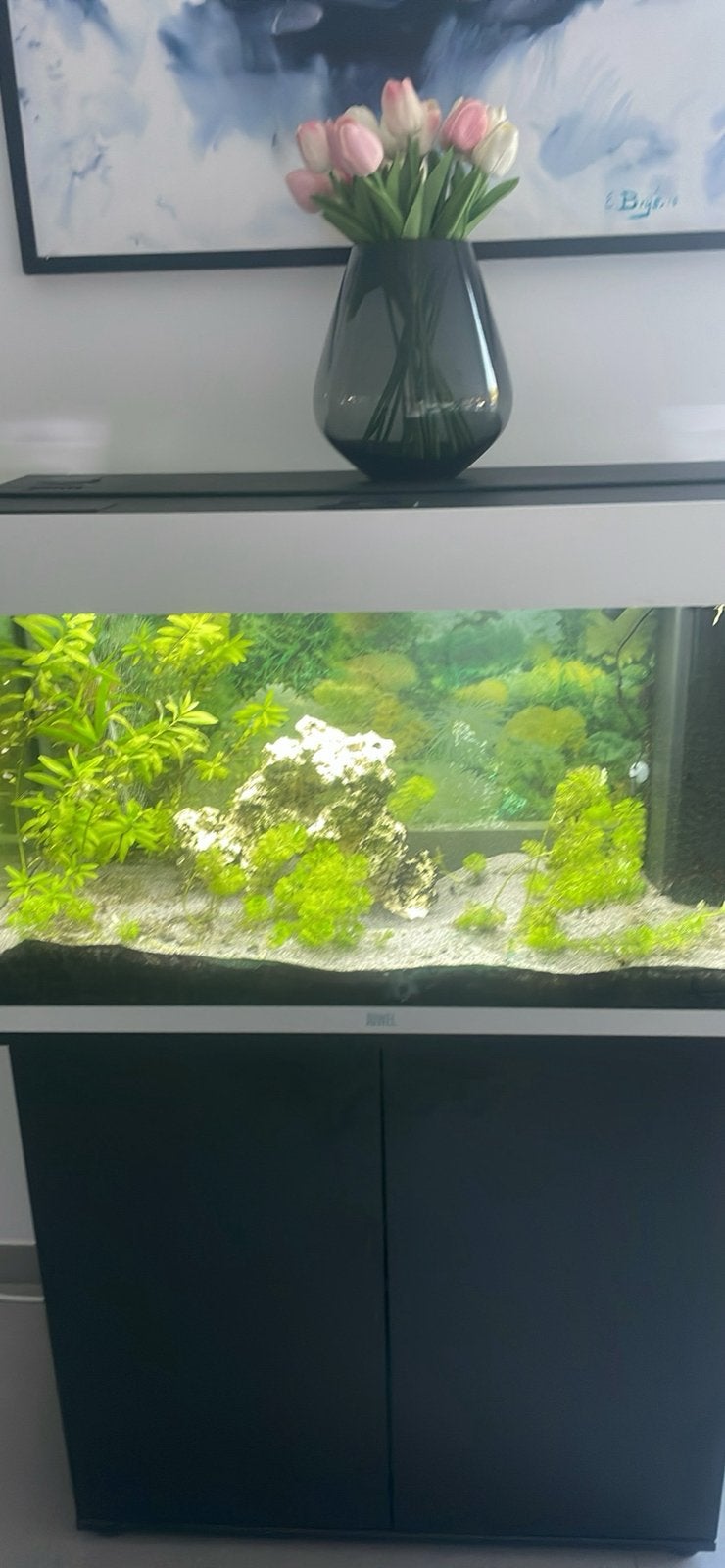 JUWEL aquarium met meubel, Ophalen, Gebruikt, Inclusief deksel, Leeg aquarium