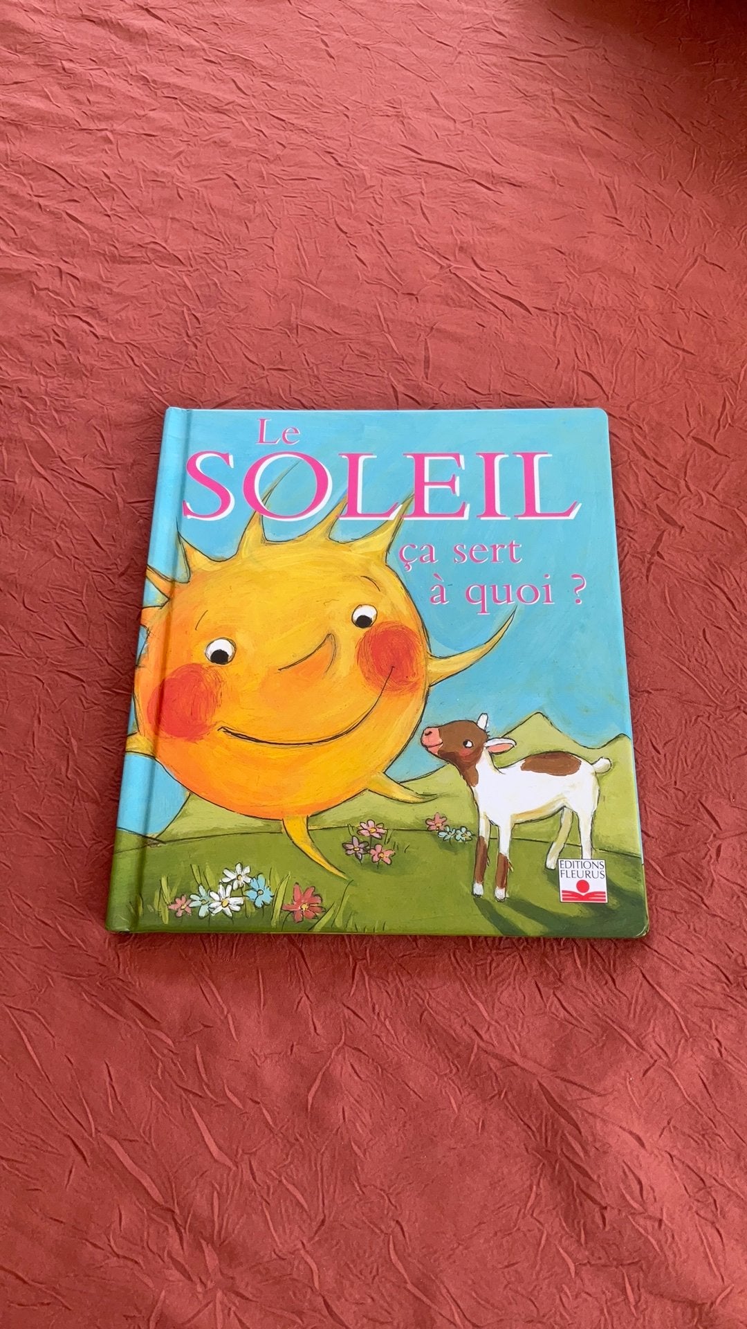 Le soleil ça sert à quoi ?, Livres, Enlèvement ou Envoi, Comme neuf