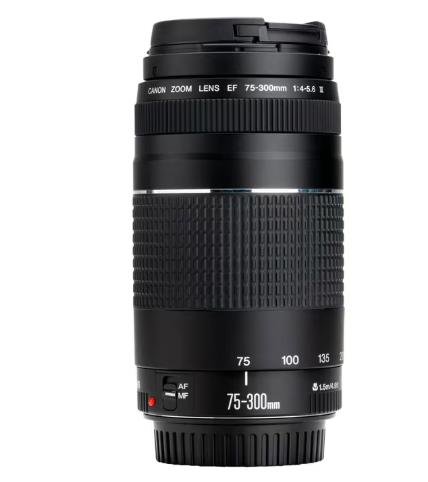 Canon EF lens 75-300, Ophalen, Zo goed als nieuw, Telelens, Zoom