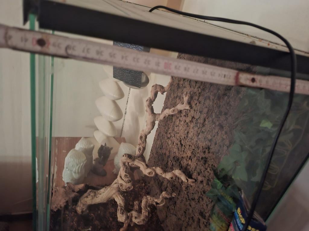 Terrarium: geschikt voor reptielen, Dieren en Toebehoren, Ophalen, Gebruikt, Terrarium of Paludarium