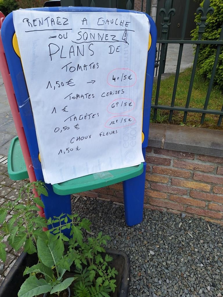 Surplus de magnifique plants de tomates  1,50 ( 4 pour 5 e ), Enlèvement