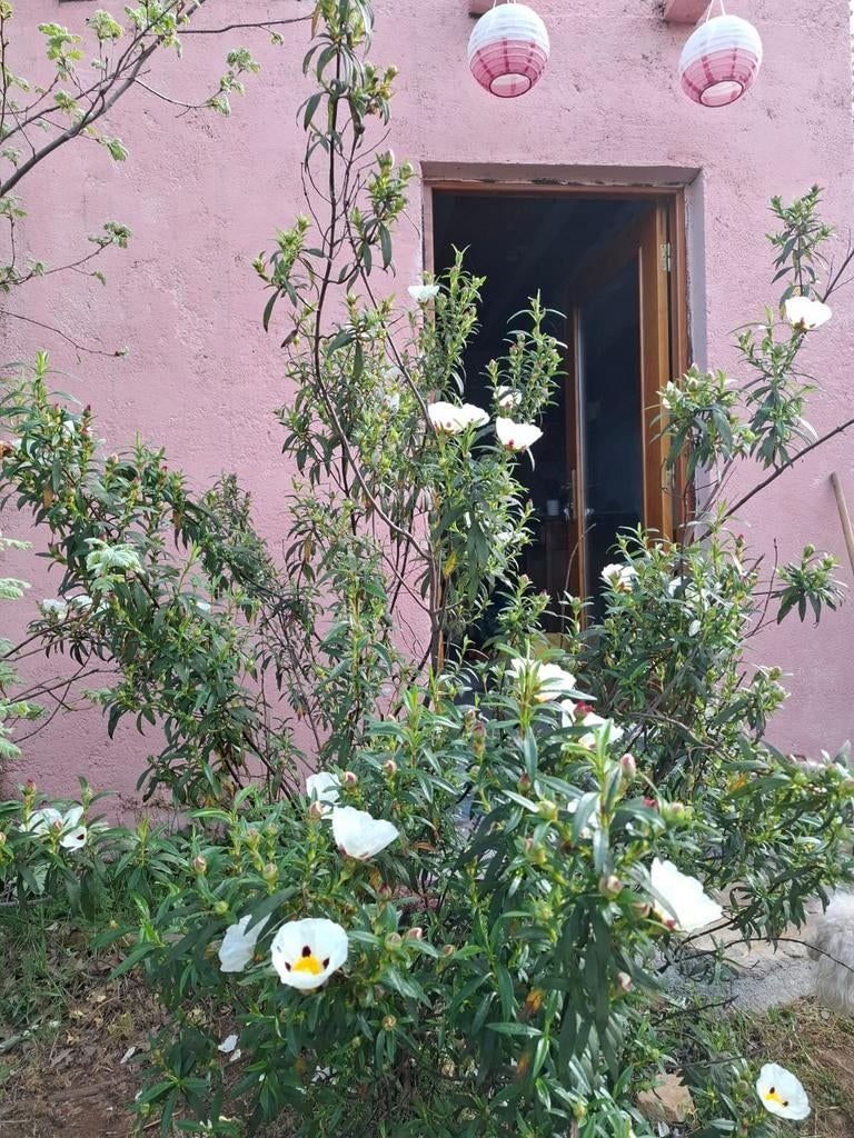 Terrain avec bâtiment au Portugal, Portugal, Campagne