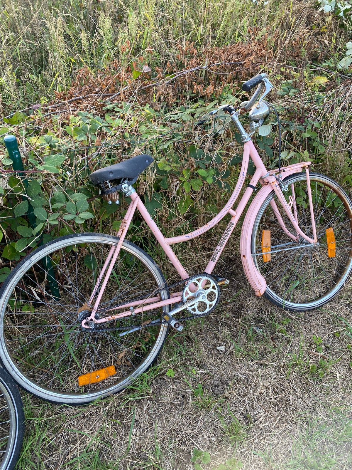 Vélo Splendor, Enlèvement, Utilisé