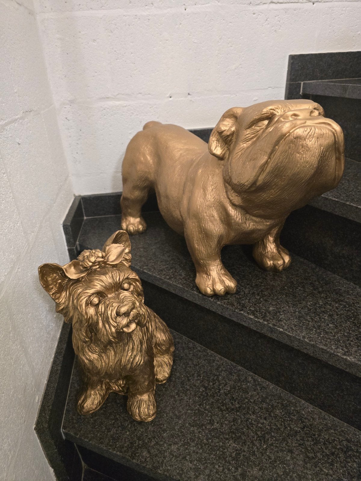 Bulldog brons/antique goud, Enlèvement