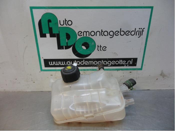 Expansievat van een Renault Megane (Megane 09-), Gebruikt, -, Renault, -