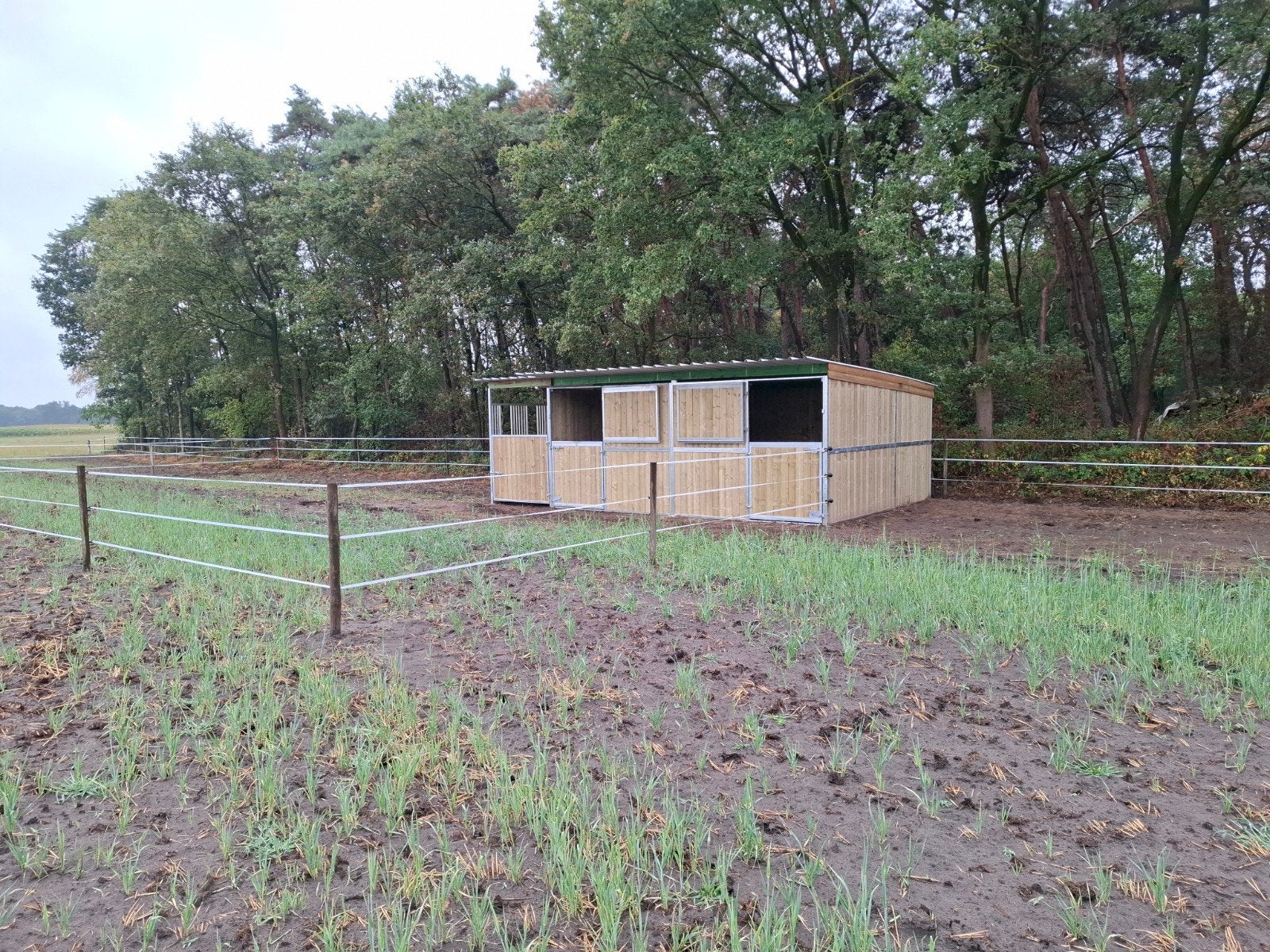 weide met padok en 3 paardenstallen te huur oud-turnhout, Dieren en Toebehoren