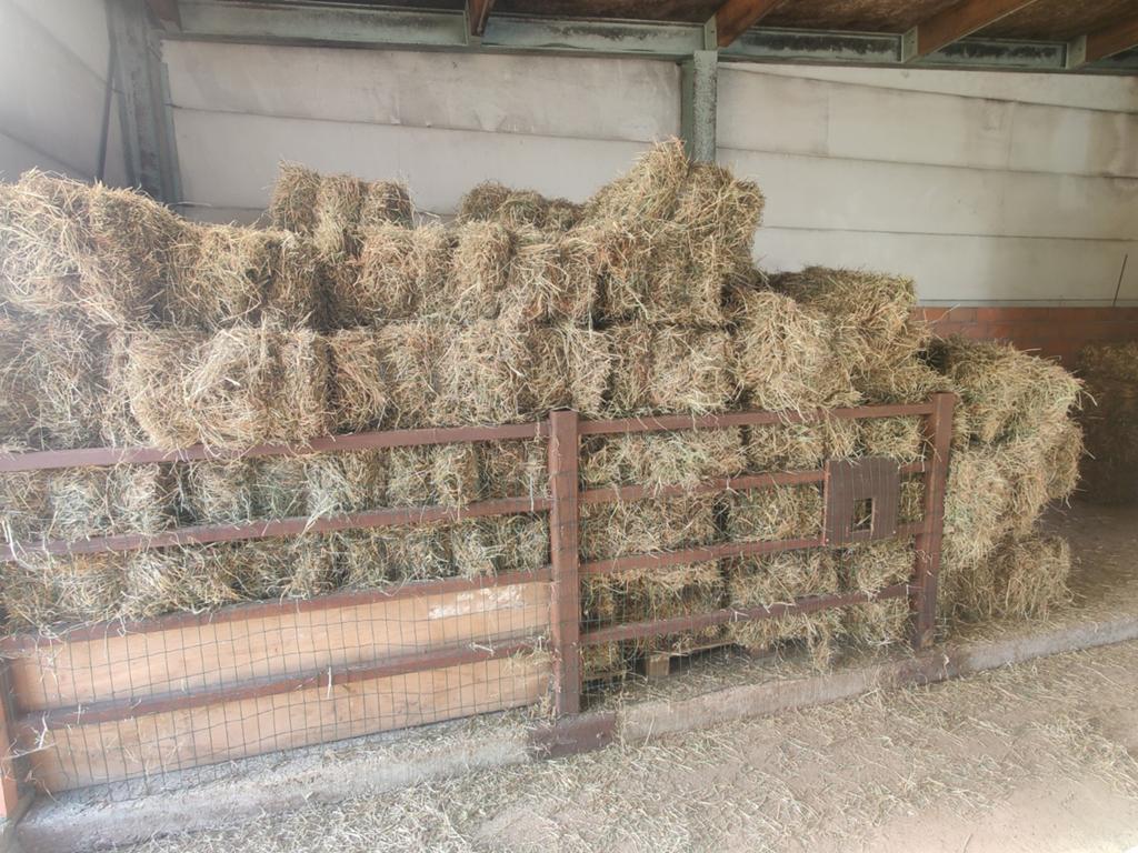 Hooi te koop, Ophalen