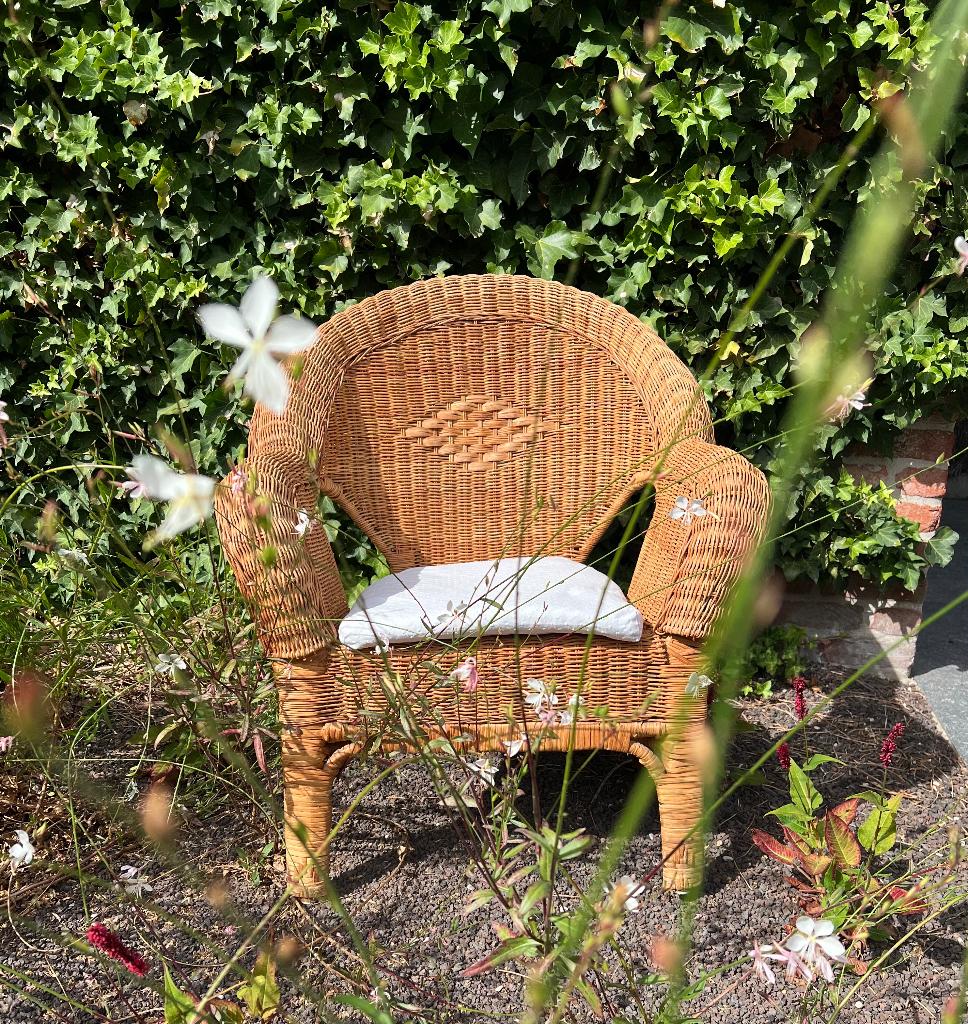 Rieten stoel, Ophalen, Gebruikt, Riet of Rotan