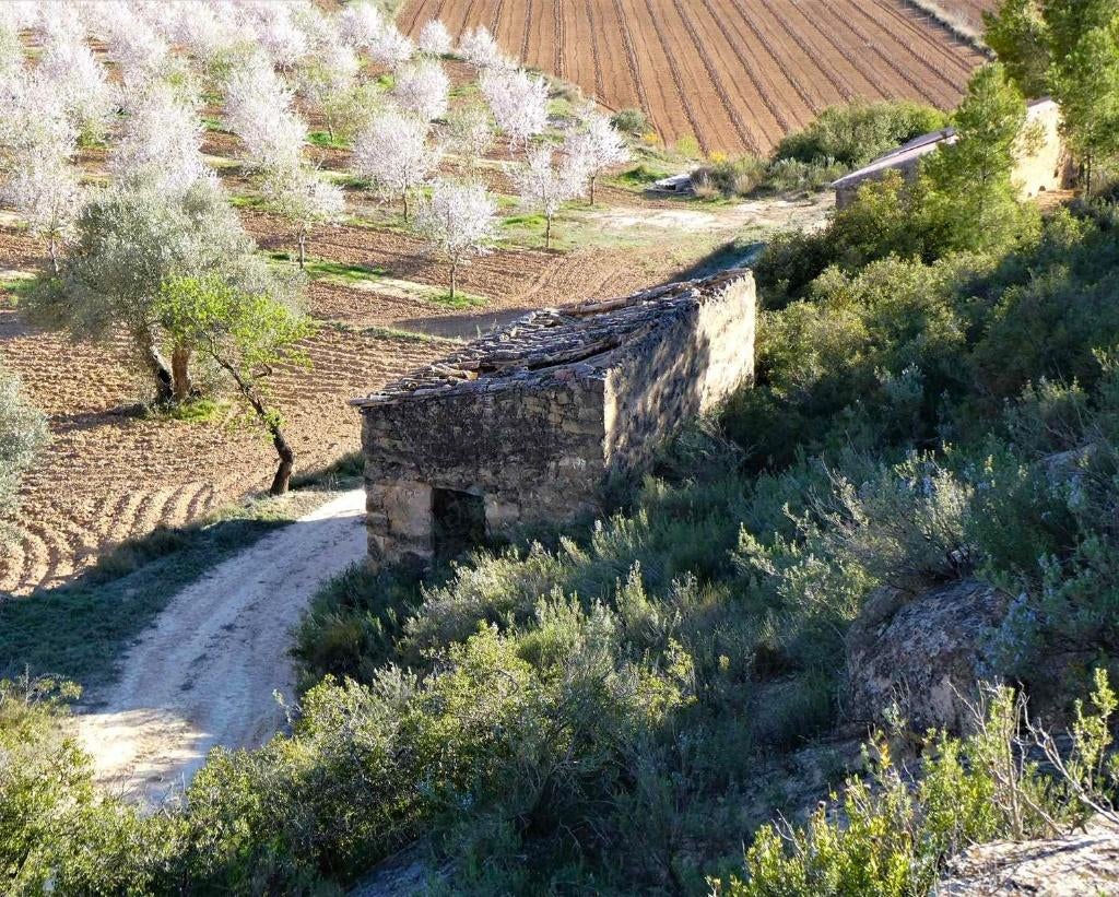 Finca in Batea (Catalonie, Spanje) - 1123, Immo, Buitenland, Spanje, Overige soorten, Landelijk