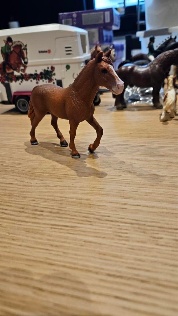 Schleich horse club Morgan merrie, Ophalen of Verzenden