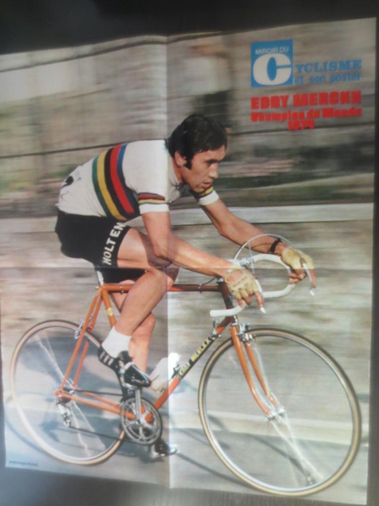 wielerposter 1974 team molteni  wk  eddy merckx, Verzenden, Zo goed als nieuw
