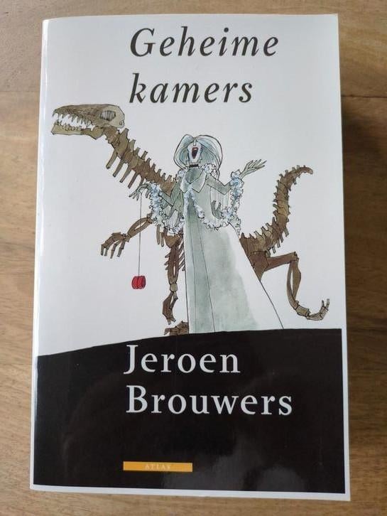 Boek Geheime kamers / Jeroen Brouwers, Ophalen of Verzenden, Zo goed als nieuw, Jeroen Brouwers