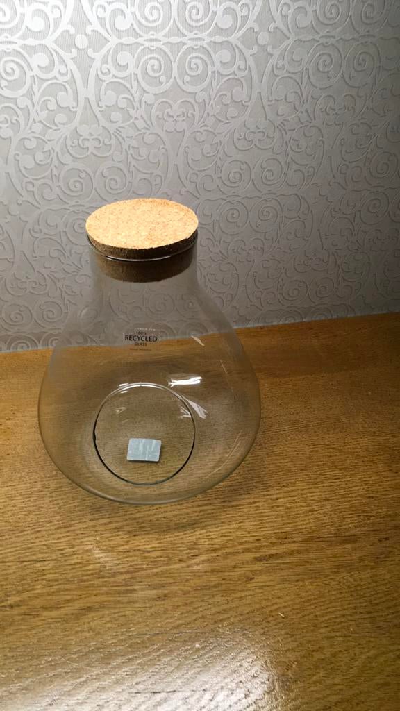Bocal à plantes en verre, Enlèvement ou Envoi, Neuf