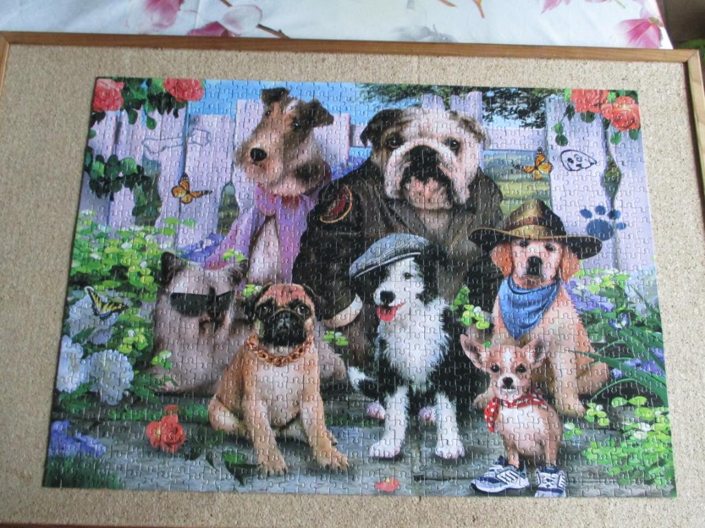 puzzel honden king 1000, Enlèvement ou Envoi, 500 à 1500 pièces, Comme neuf, Puzzle
