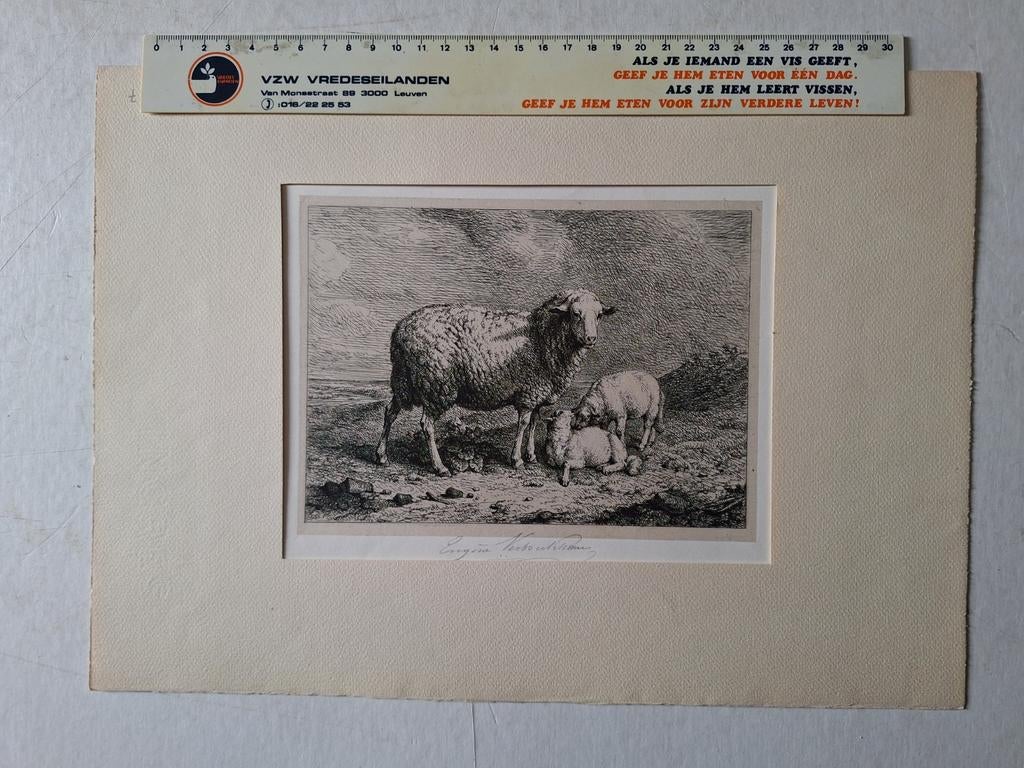 Fraaie ets Eugène Verboeckhoven Schaapje met twee lammetjes, Antiek en Kunst, Ophalen of Verzenden