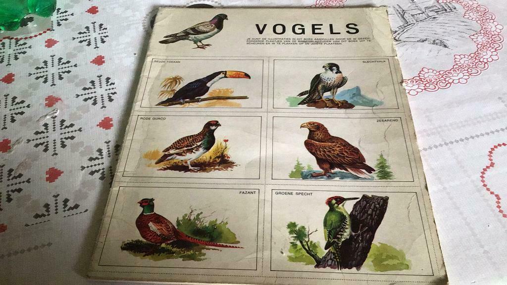 Vogels(#), Boeken, Ophalen of Verzenden, Gelezen, Plaatjesalbum