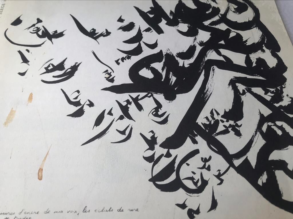 Livre d'art de Christian Dotremont, 40 pages, Cobra, Enlèvement ou Envoi, Comme neuf, Peinture et dessin