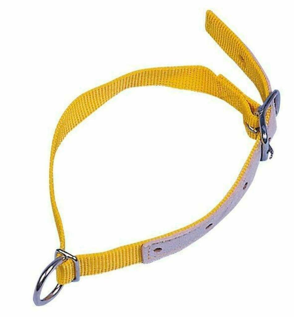 halsband voor schapen 60cm, Dieren en Toebehoren, Ophalen of Verzenden, Nieuw
